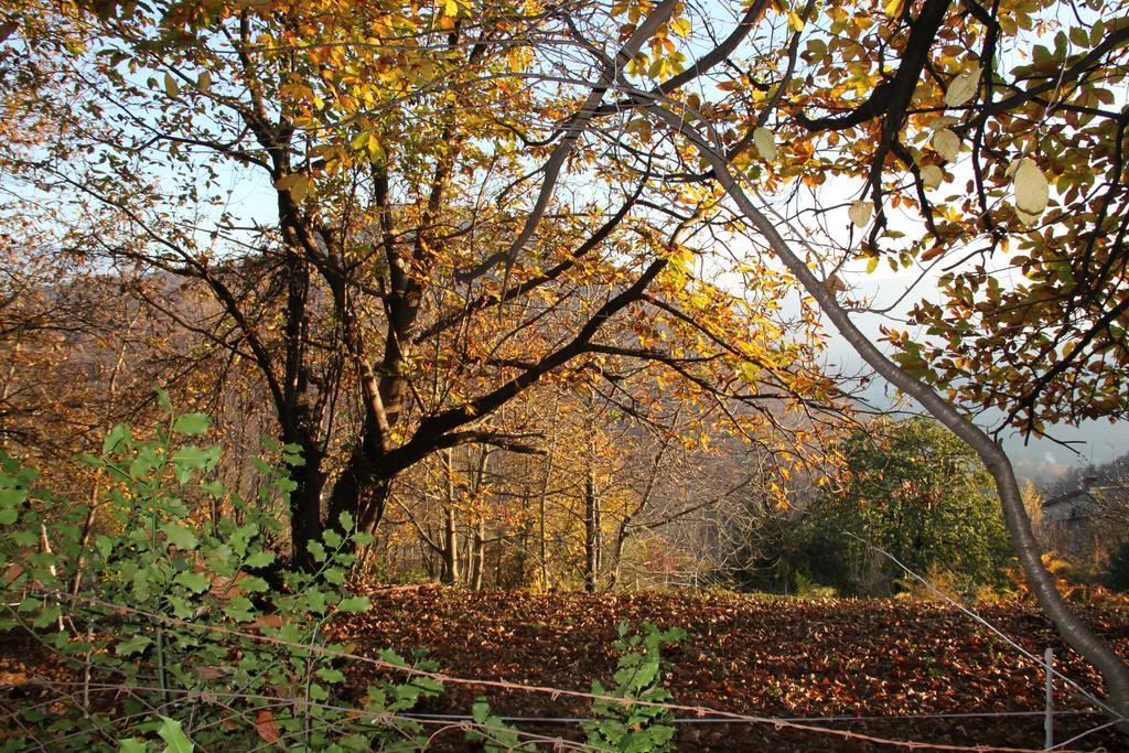 Casa Al Sasso Villa Bedigliora ภายนอก รูปภาพ